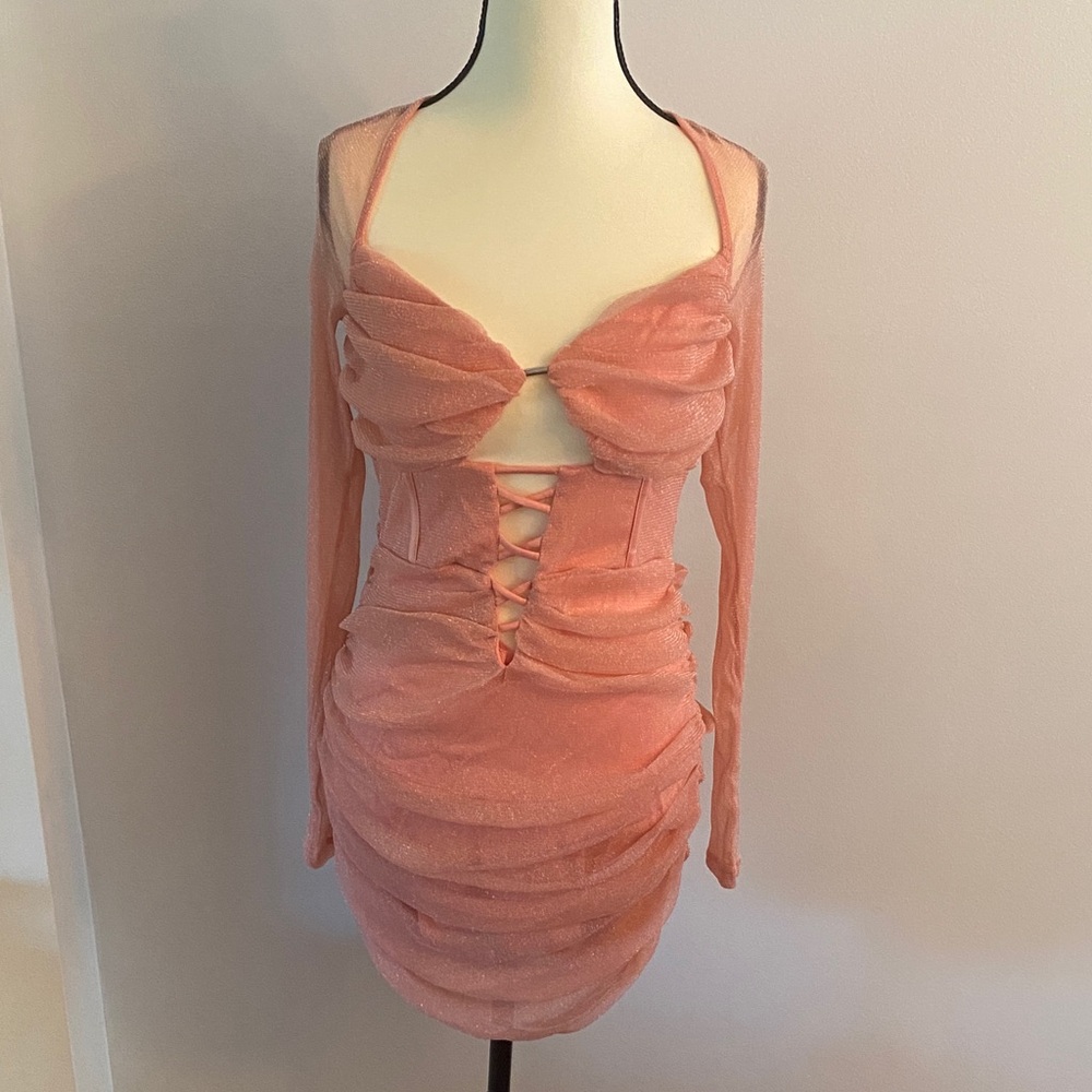 NWT fashion Nova a little bubbly mesh blush mesh mini dress